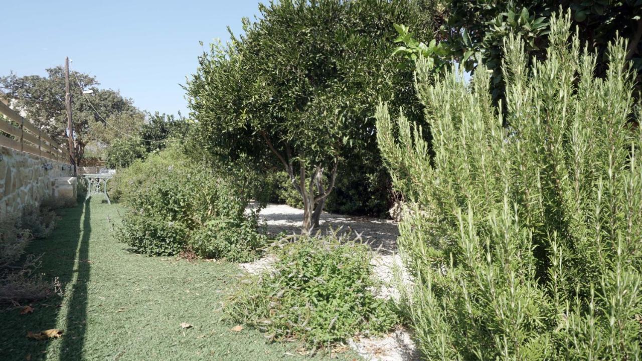 Studio Eleni - Oasis Holiday Houses Kokkinos Pyrgos Exterior foto