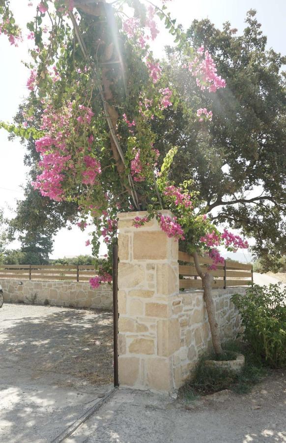Studio Eleni - Oasis Holiday Houses Kokkinos Pyrgos Exterior foto
