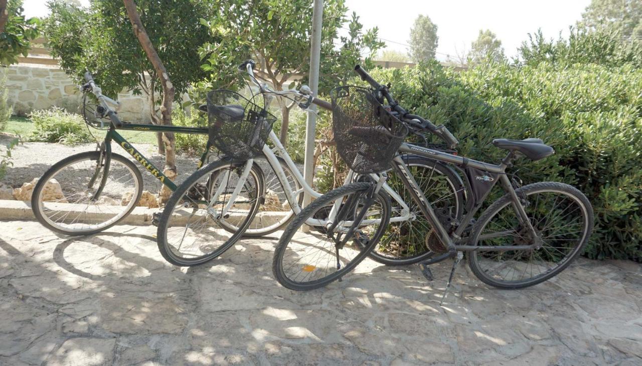 Studio Eleni - Oasis Holiday Houses Kokkinos Pyrgos Exterior foto