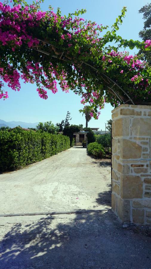 Studio Eleni - Oasis Holiday Houses Kokkinos Pyrgos Exterior foto